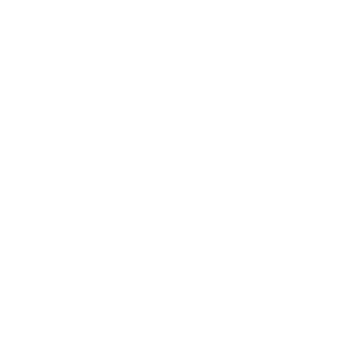 mlsinglemotherfoundation.com